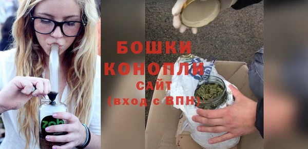 spice Вяземский