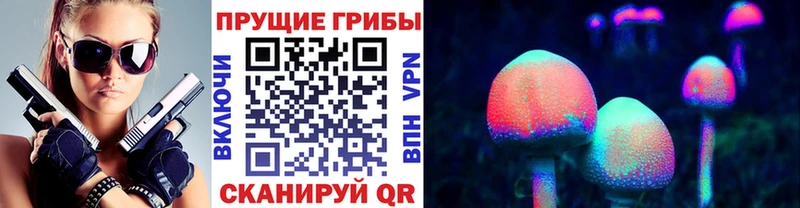 kraken зеркало  Снежинск  Галлюциногенные грибы Psilocybe 